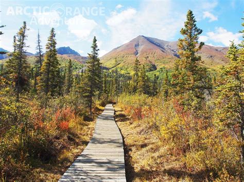 Hiking Trail in Kluane National Park | Arctic Range Adventure