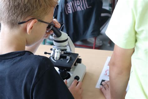 Silberk Mper Forschten Zum Thema Wasser Tag Der Naturwissenschaften