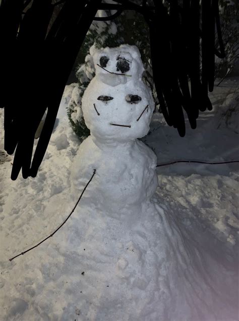 what yall think of my jotaro snowman | Jojo bizzare adventure, Jojo's ...