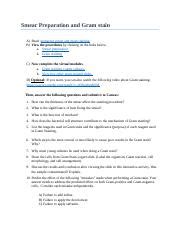 Lab Smear Preparation And Gram Stain Docx Smear