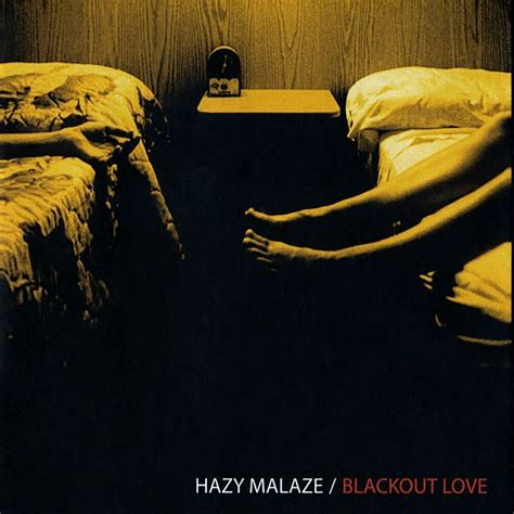 Hazy Malaze Blackout Love Mp3 Digital Download — Neal Casal Music