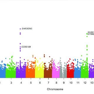 Manhattan Plot For Genome Wide Association Study Of Cystatin C