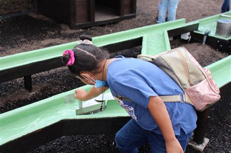 Sensorialidad Arte Y Corporalidad Se Promueve En Un Recorrido Especial