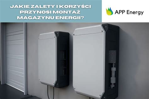 Ile Kosztuje Magazyn Energii W Roku