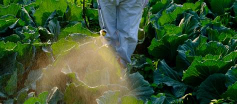 Smart Pest Control For Organic Farming Effective Methods