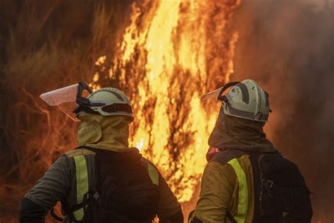 Baja la superficie quemada por incendios forestales en España