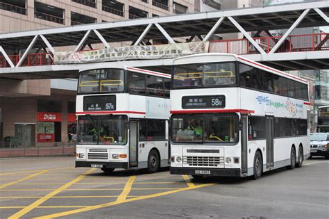 Xtra Pictureview Kmb White Buses