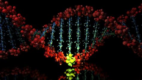 Biochemie Erforschung Der Proteine Und Proteome Spektrum Der