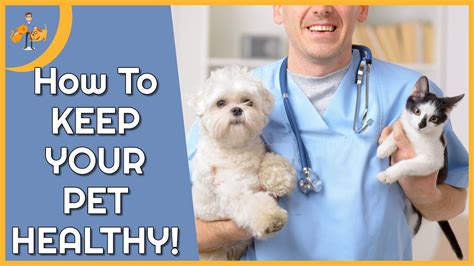 The 5 Steps To Keeping Your Pet Healthy Free Guide Youtube