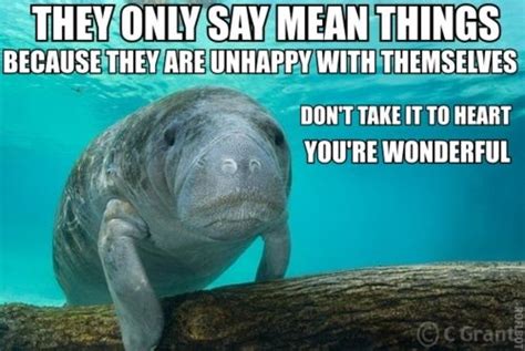 Just A Skinny Minute Manatee Ocean Fun Cow Meme