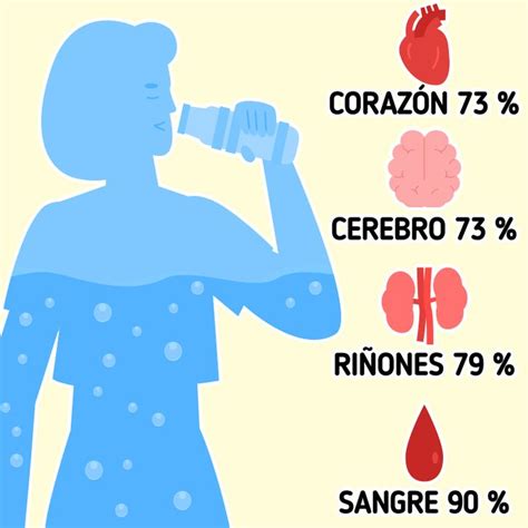 C Mo Calcular La Cantidad Correcta De Agua Que Necesitas Beber Cada D A