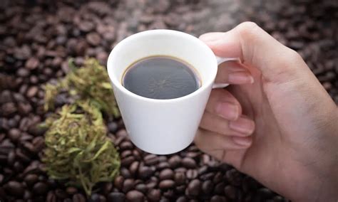 Cannabis Infused Coffee In The Morning | Haven