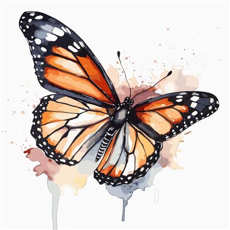 Une Aquarelle D Un Papillon Sur Fond Blanc Vecteur Premium