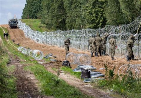 El Muro Fronterizo Entre Polonia Y Bielorrusia Crearía Graves Problemas Al Medio Ambiente