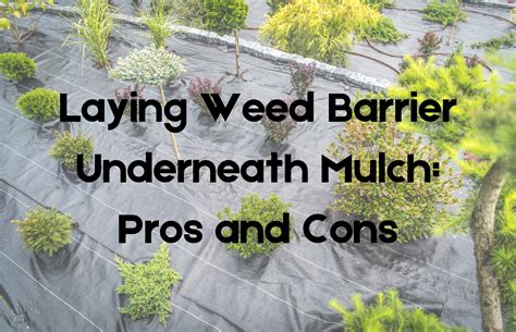 Laying Weed Barrier Underneath Mulch: Pros and Cons – His Workmanship