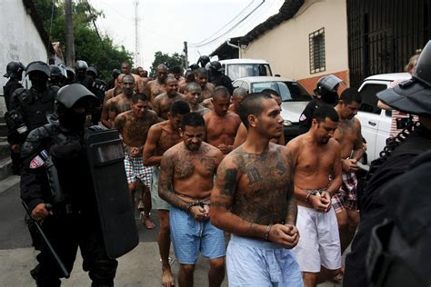 Those boys in MS-13 aren’t gang members, they’re civil liberties ...