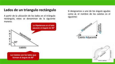 Matematicas Funciones Trigonometricas