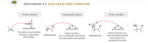 Acid Catalyzed hydration Flashcards | Quizlet