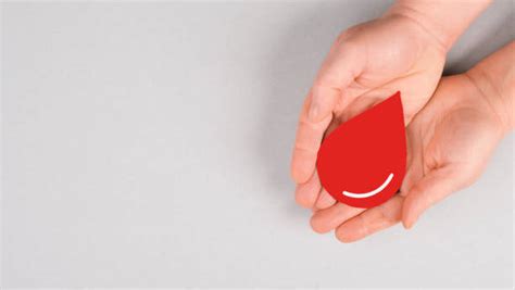 1600 World Blood Donor Day Foto Stok Potret And Gambar Bebas Royalti