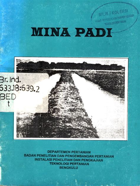 Mina Padi