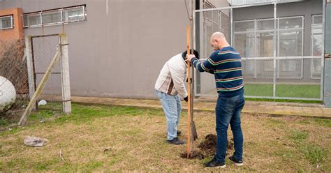 Se Entregaron Y Plantaron Rboles En El Predio De La Escuela Secundaria