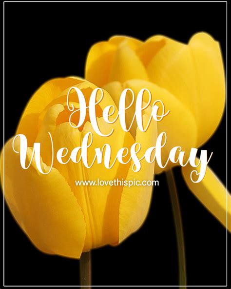 Yellow Tulip Hello Wednesday Greeting Pictures Photos And Images For