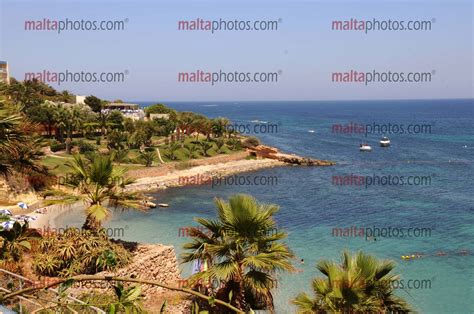 Mellieha Bay Hotel Sea - Malta Photos