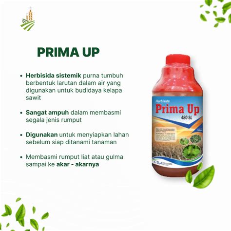 Jual Pembasmi Rumput Sampai Akar Prima Up Sl Herbisida Liter