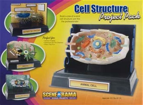 WOOSP4283 Cell Structure Project Pack