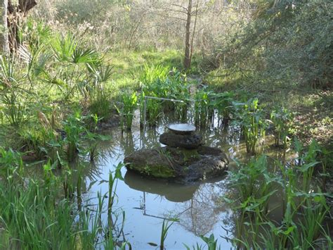 Texas Nature: Armand Bayou Nature Center Part 2