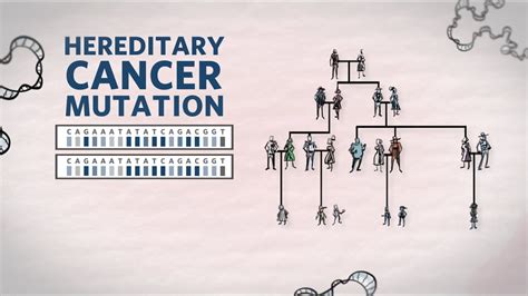 What Is Hereditary Cancer What Is A Hereditary Cancer Mutation