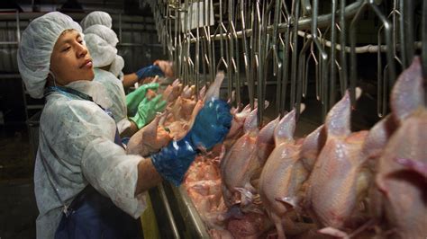 Tyson Foods Promises Better Conditions And Safety For Meat Workers The Salt Npr