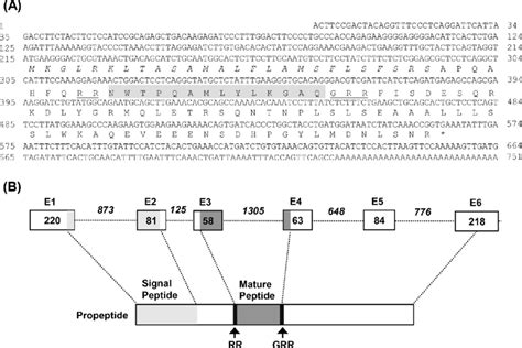 A The Full Length CDNA Sequence And Deduced Amino Acid Of Chicken