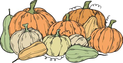 Pumpkin Patch Clipart Collection Free And High Quality Pumpkin Graphics