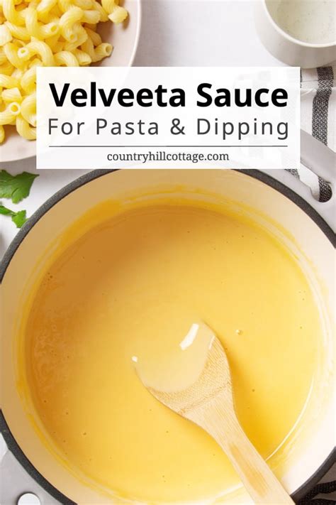 Velveeta Cheese Sauce {For Pasta & Dipping} | Recipe | Homemade cheese ...