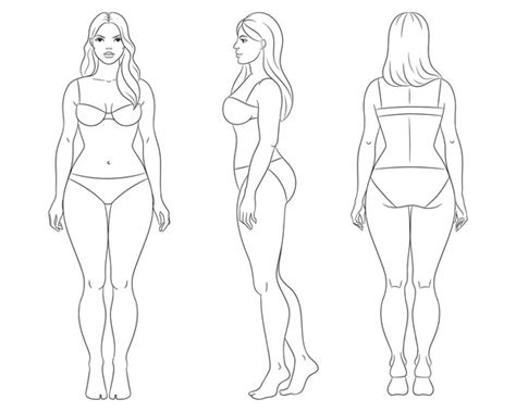 ภาพ ภาพสต็อก วัตถุ 3 มิติและเวกเตอร์เกี่ยวกับ Body Silhouette Plus Size 3578 รายการ Shutterstock