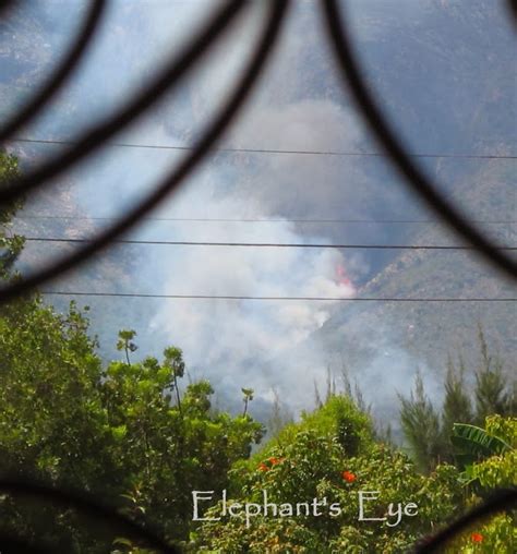 Elephant's Eye: Fire on our mountain in March 2009