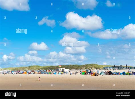 Netherlands, Texel, bathing beach behind Texel Dunes National Park ...