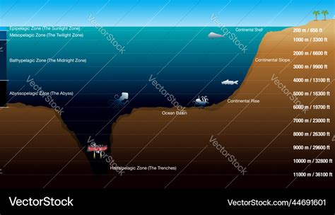 Ocean Zones And Layers Of The Sea Ideas Ocean Zones, Ocean,, 43% OFF