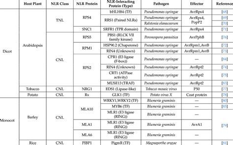 NLR protein resistance in different crops and their intercrossing ...