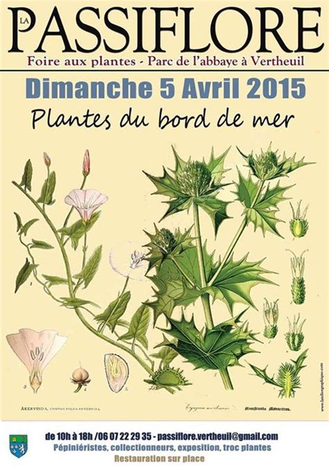 Se divertir dans le Médoc Agenda 33ème Foire aux Plantes