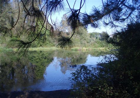 12 Best Things To Do In Eugene, Oregon – Unforgettable Adventures Await!