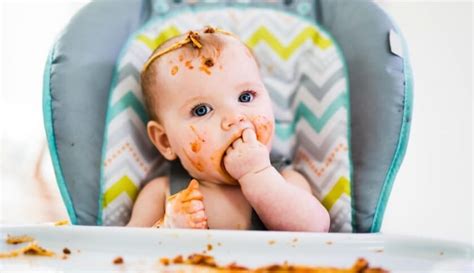 Método BLW de Alimentação para Bebês Guia Completo