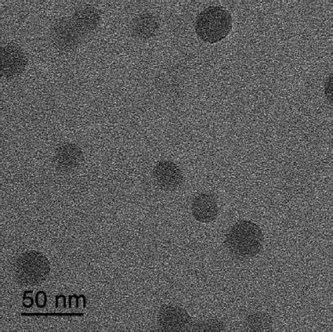 Tem Micrograph Of The Ps B Paa Micelles Download Scientific Diagram