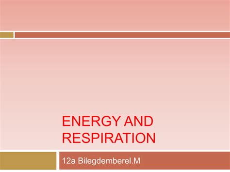 Energy And Respiration Ppt