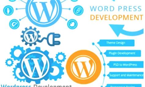 Design Redesign Migrate Wordpress Wix Weebly Business Websites Website