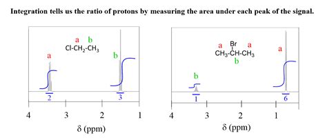 Area Under NMR Curve