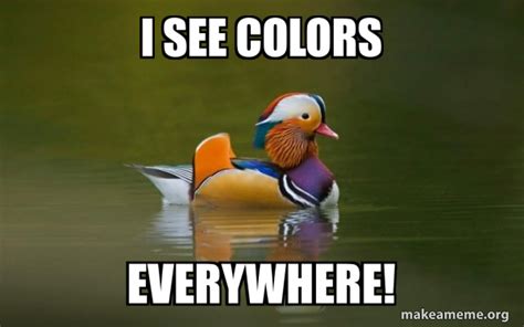 I See Colors Everywhere Fashionable Advice Mallard Meme Generator