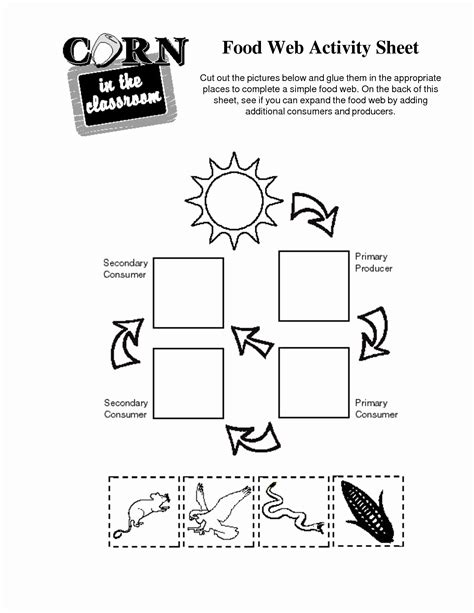 Food Chain Worksheet With Answers