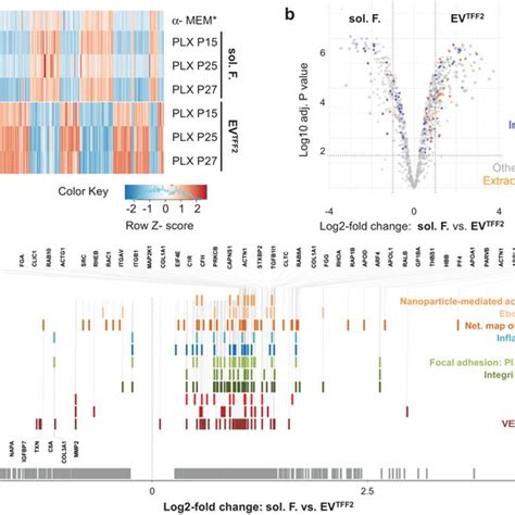 Quantitative Proteomics Of PLX Secretome Fractions A Heatmap